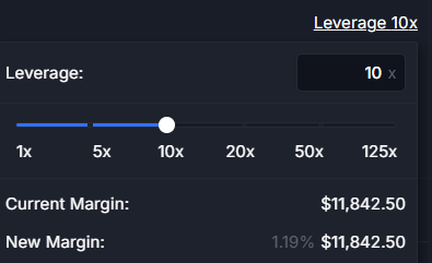 Leverage at 10 on the prading platform